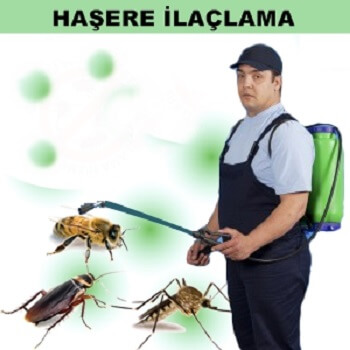 Hekimhan Böcek İlaçlama